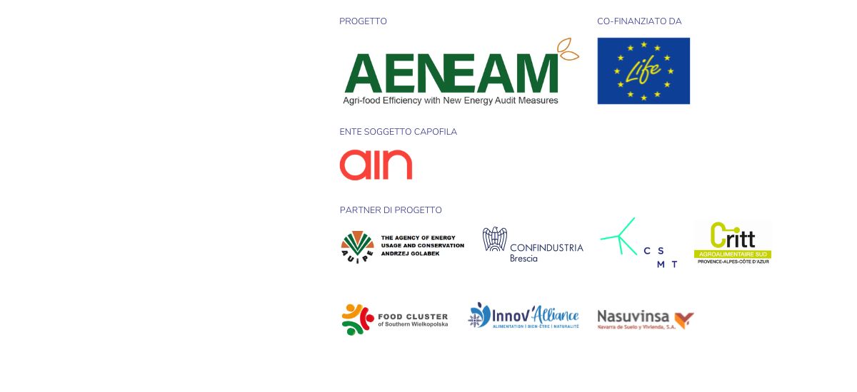 AENEAM: in CSMT il quinto meeting del progetto europeo