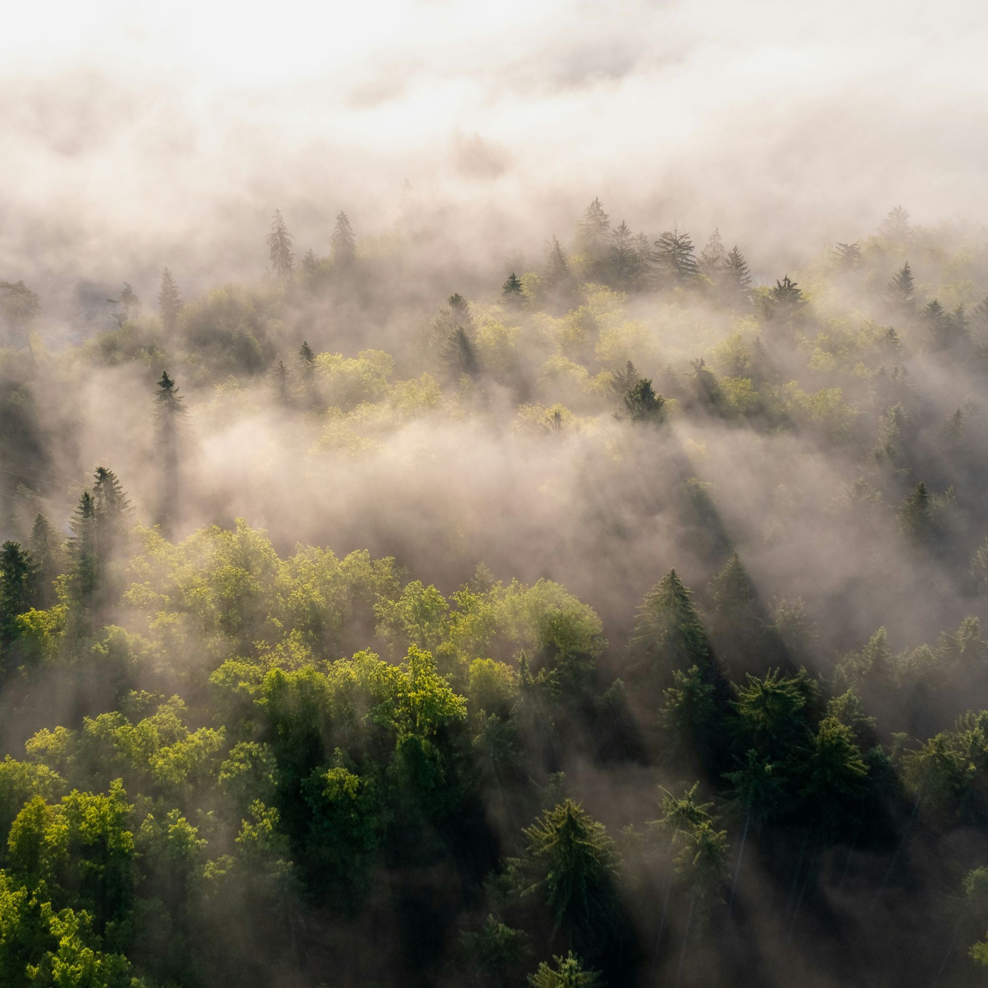 Ammesso al finanziamento il progetto LIFE AGHETA
