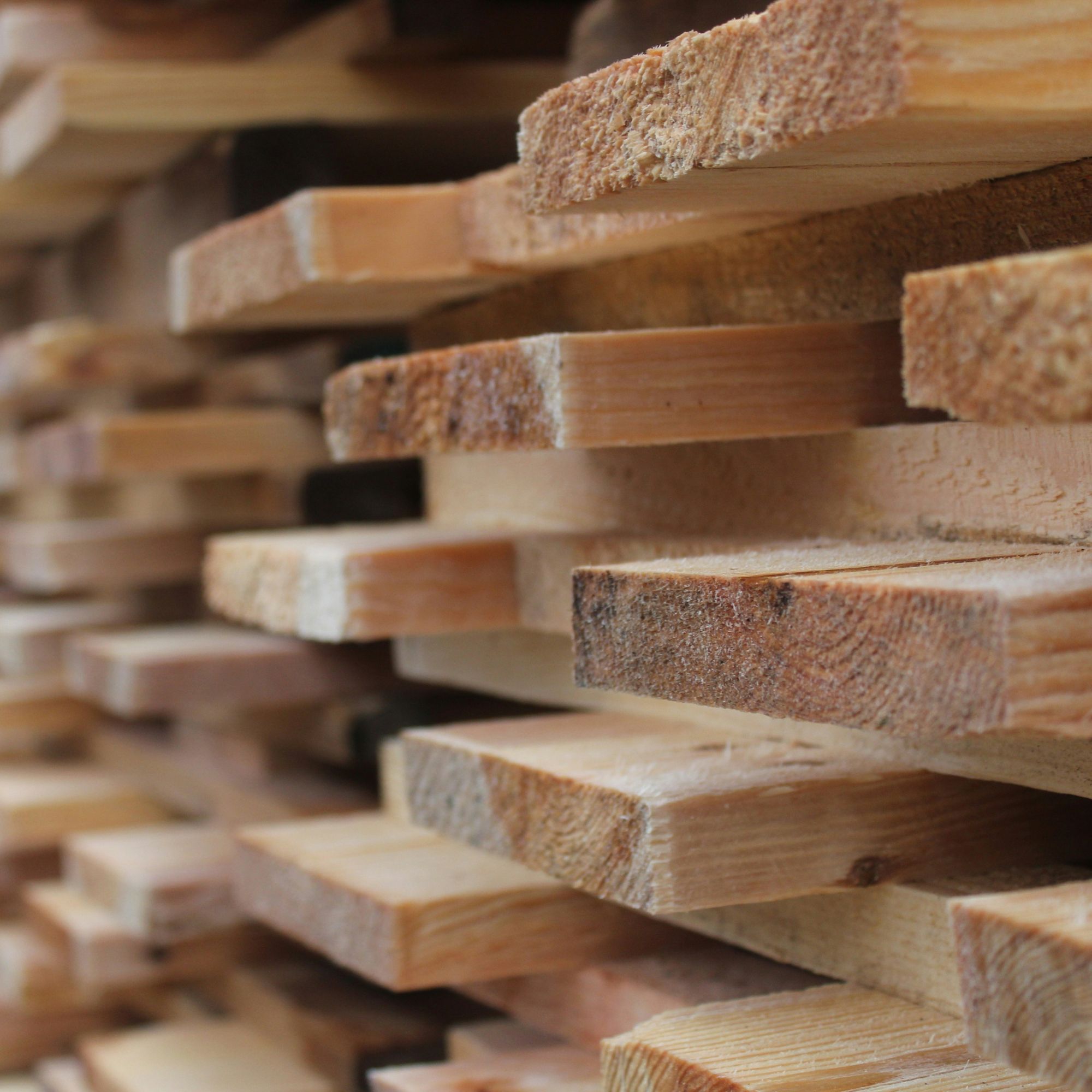 Essiccazione del legno: simulazioni CFD per migliorare efficienza energetica e qualità del processo