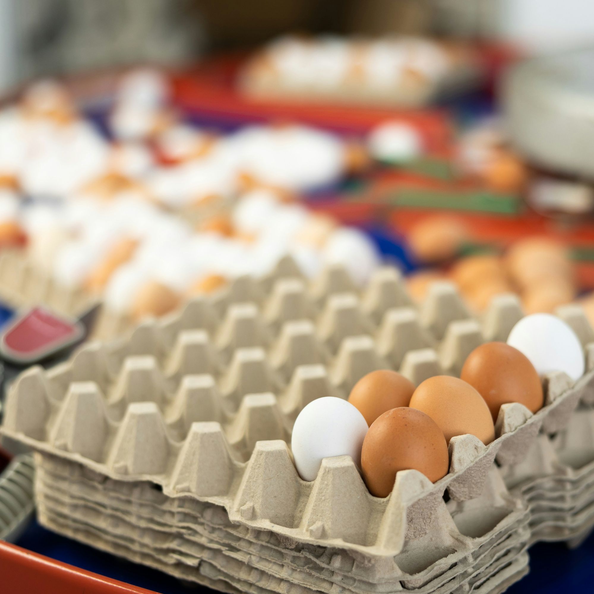 EGGSENSE: sensori e AI per un nuovo approccio al controllo della biosicurezza nel settore avicolo