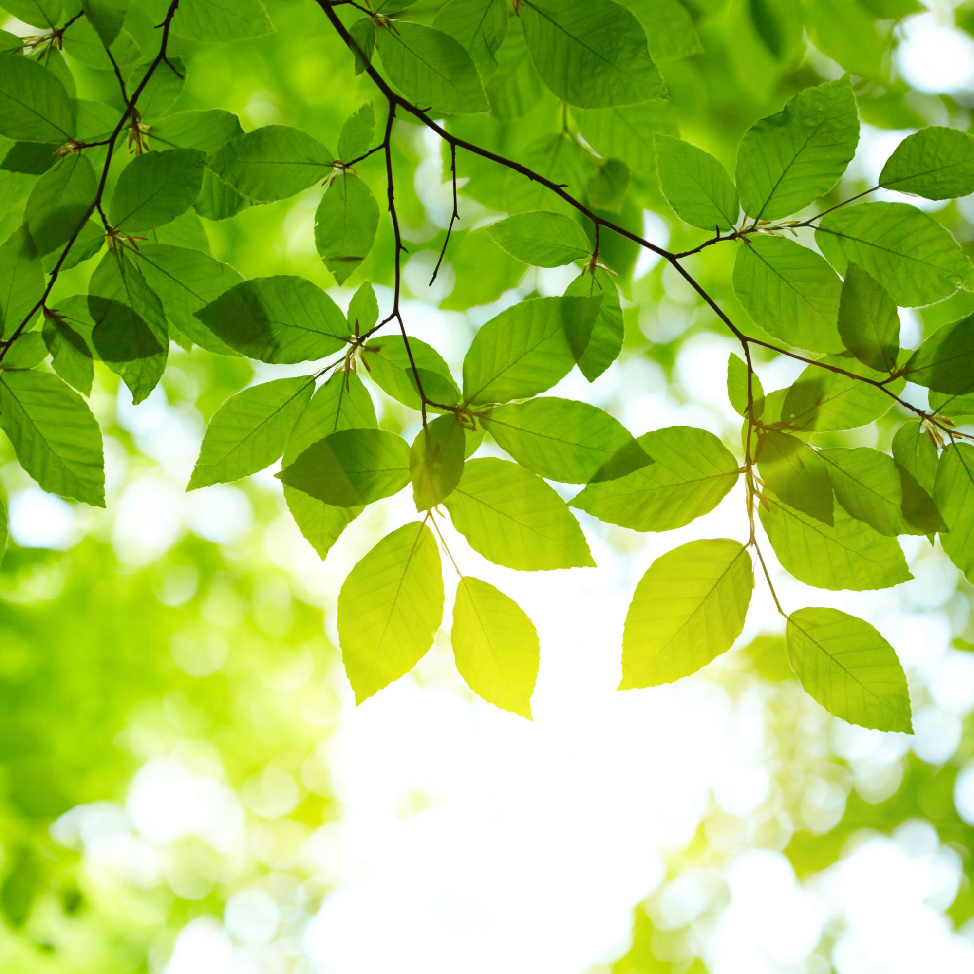 LIFE 2026: pubblicati i nuovi bandi per l’ambiente, l’azione per il clima e la transizione energetica