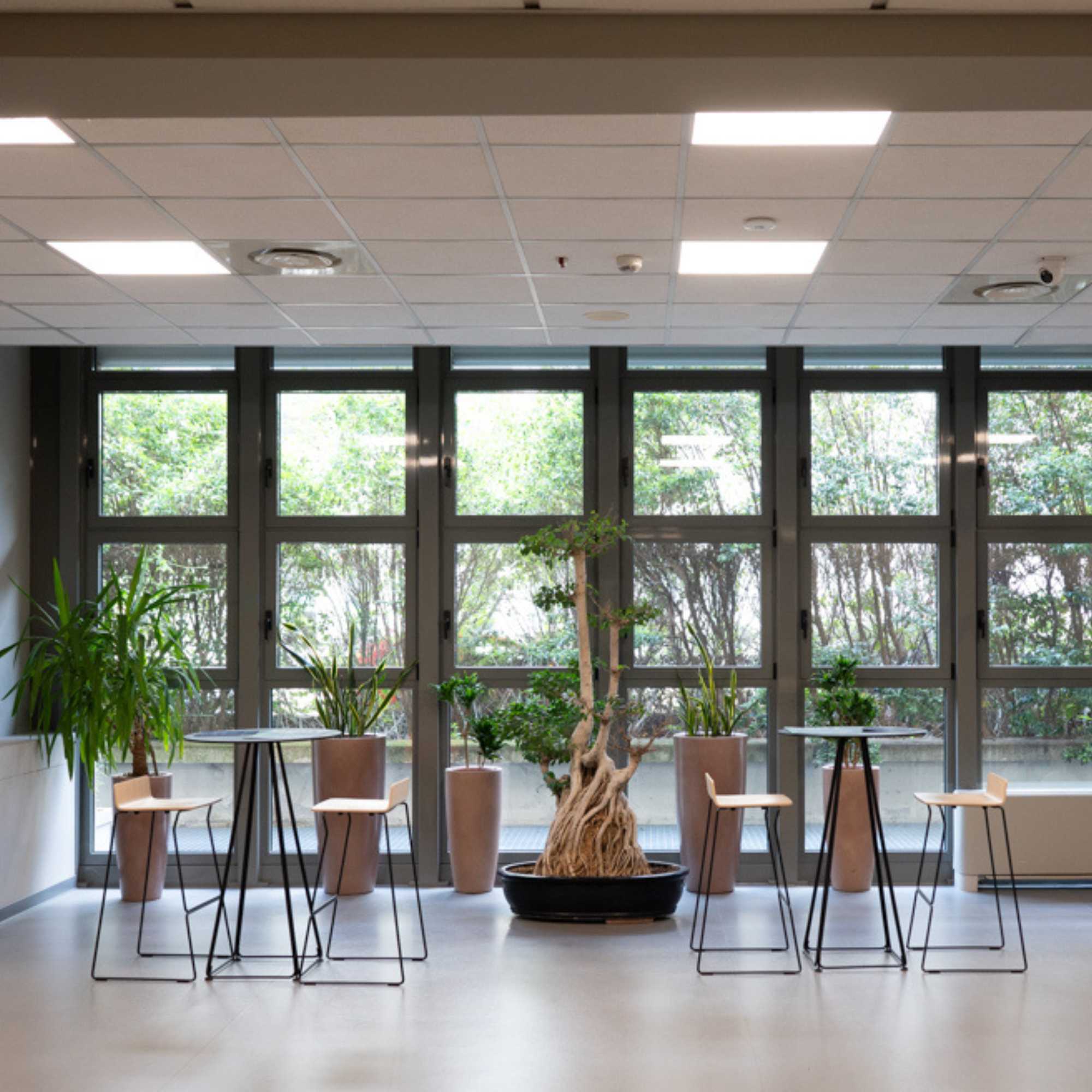 Nuovi uffici disponibili da settembre all'interno dell'HUB