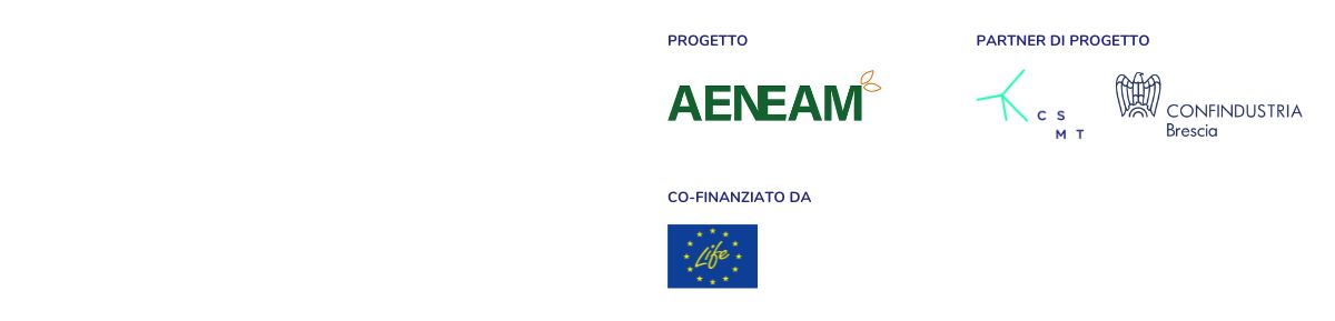 Efficienza e Comunità Energetiche Rinnovabili | Webinar di AENEAM