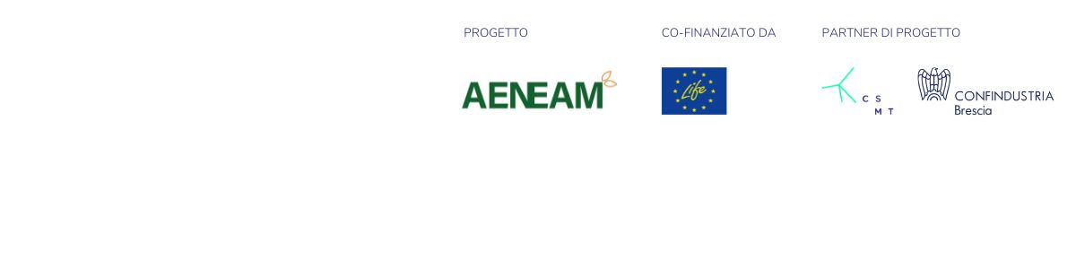 Webinar AENEAM | Strumenti digitali per il monitoraggio e l’efficienza energetica