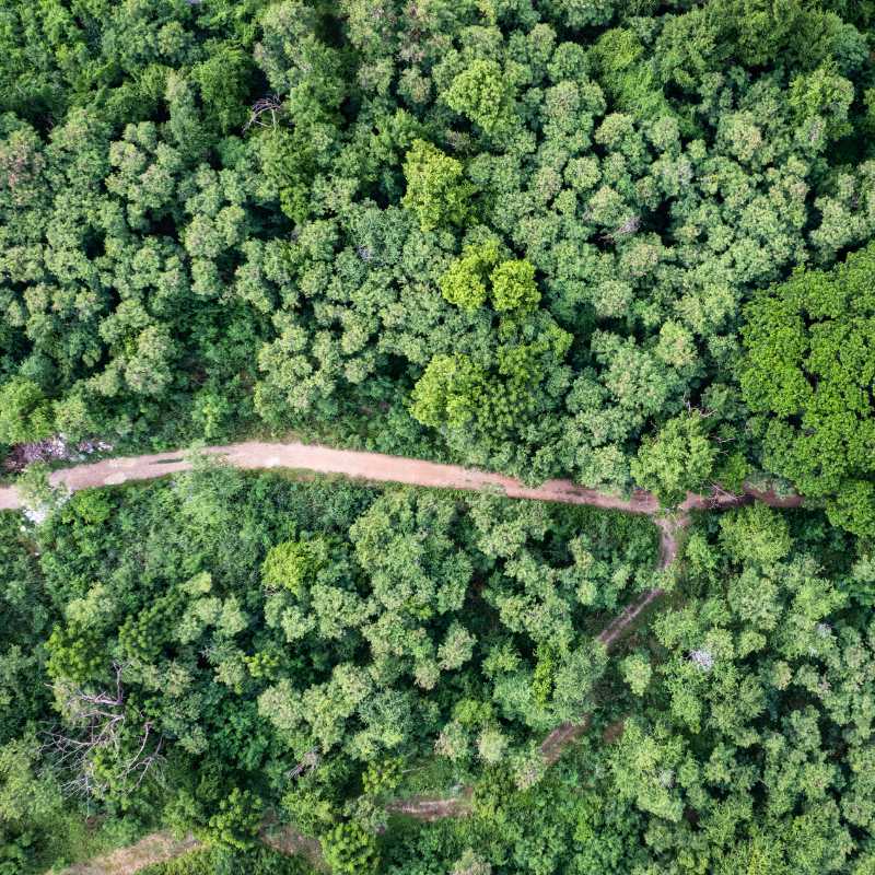LCA, Carbon Footprint e Inventario GHG Organizzativo