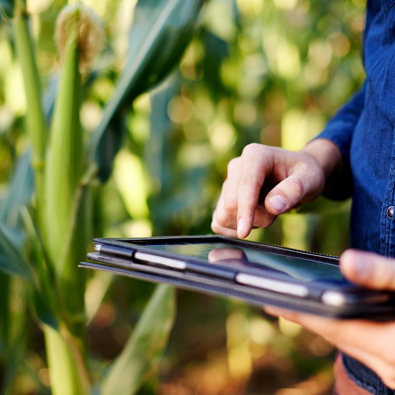 APP4FARM Final Event | Innovation in agriculture